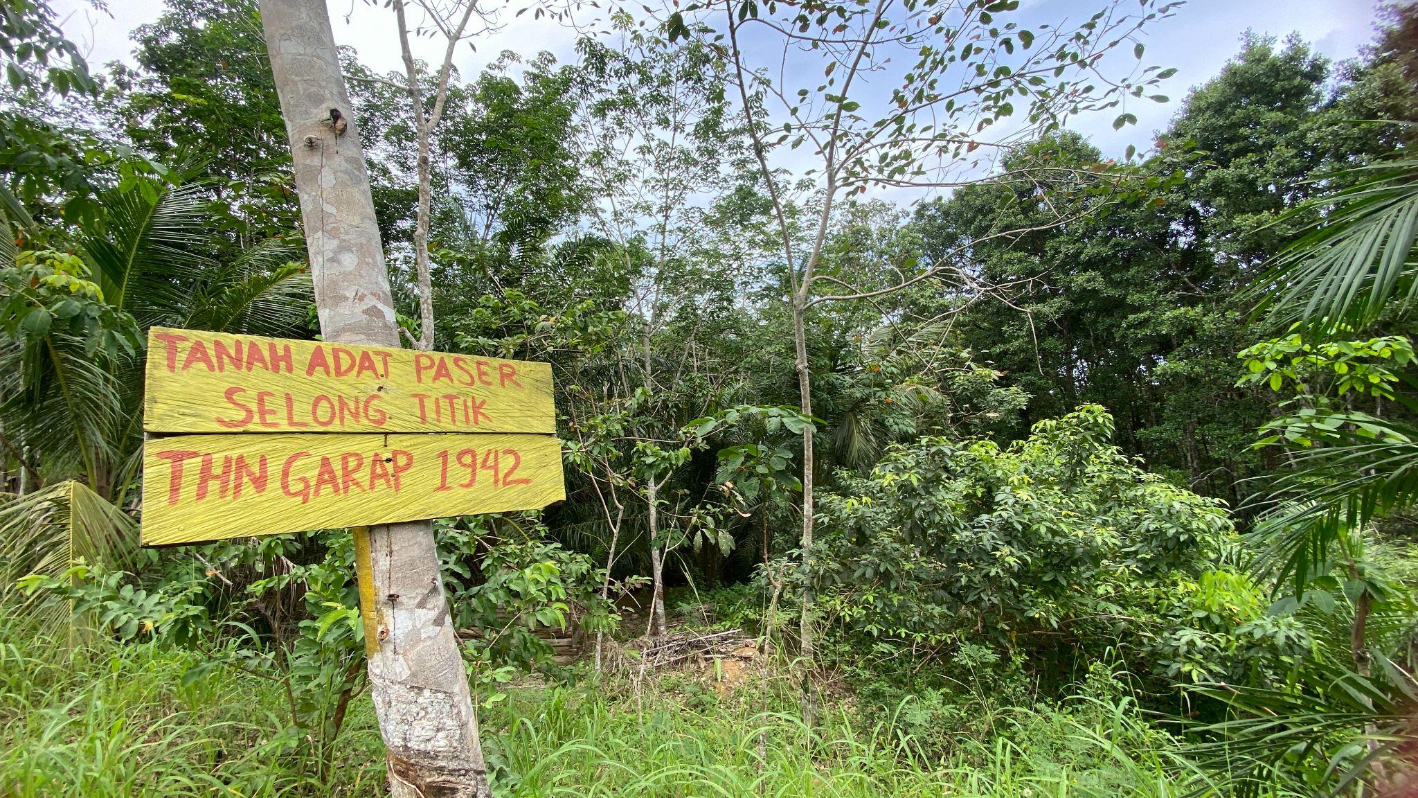 Salah satu kawasan di Desa Telemow yang masuk dalam klaim konsesi HGB PT ITCHI. Warga setempat menyebut areal perkebunan ini sebagai ‘’Selong Titik’’. Ia berasal dari nama orang terdahulu yang pertama menggarap kawasan ini, Datuk Kitik, yang tak lain adalah kai atau kakek Saparuddin– salah satu tersangka pengancaman dan penyerobotan lahan yang dilaporkan PT ITCHI ke Polda Kaltim. (Foto: Muhibar Sobary)